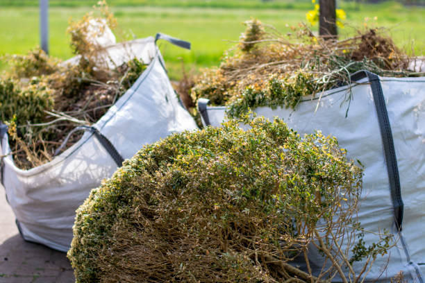 Best Household Junk Removal  in Messiah College, PA